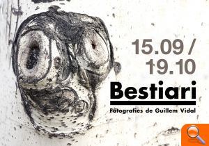 'Quan dorm el Botànic', una ruta a la llum de la lluna per inaugurar una mostra fotogràfica de Lluís Ibàñez - (foto 3) 'Quan dorm el Botànic', una ruta a la llum de la lluna per inaugurar una mostra fotogràfica de Lluís Ibàñez - (foto 3)
