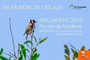 Jornada de Anillamiento en el Día Mundial de las Aves