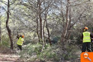 Les brigades de la Diputació treballen en la zona del Saler i nuclis de la Devesa per a prevenir incendis - (foto 2)