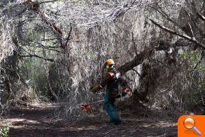 Les brigades de la Diputació treballen en la zona del Saler i nuclis de la Devesa per a prevenir incendis - (foto 4)