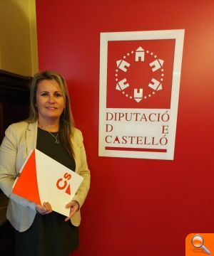 Cs lamenta la tardança de la gratuïtat del servei de televisió en els hospitals - (foto 2)