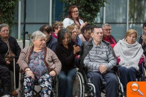 La UJI y la Asociación-Fundación Ateneu Castelló reivindican más recursos y atención para los afectados por Daño Cerebral Adquirido - (foto 3)
