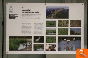 Inaugurada l'exposició ‘Les intervencions humanes en el cicle de l’aigua de la marjal d’Almenara’ - (foto 2)
