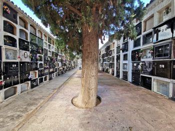 Ya es posible conocer la localización de nichos y tumbas en el cementerio de Burriana Ya es posible conocer la localización de nichos y tumbas en el cementerio de Burriana