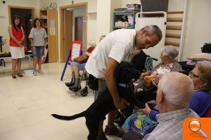 Teràpia canina en la residència de la tercera edat d'Almassora