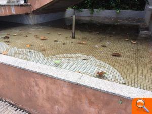 PP: ‘La descoordinació del 'Desacord de Progrés' provoca la proliferació de mosquits’ - (foto 2) PP: ‘La descoordinació del 'Desacord de Progrés' provoca la proliferació de mosquits’ - (foto 2)