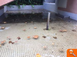 PP: ‘La descoordinació del 'Desacord de Progrés' provoca la proliferació de mosquits’ - (foto 3) PP: ‘La descoordinació del 'Desacord de Progrés' provoca la proliferació de mosquits’ - (foto 3)