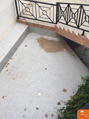 PP: ‘La descoordinació del 'Desacord de Progrés' provoca la proliferació de mosquits’ - (foto 4) PP: ‘La descoordinació del 'Desacord de Progrés' provoca la proliferació de mosquits’ - (foto 4)