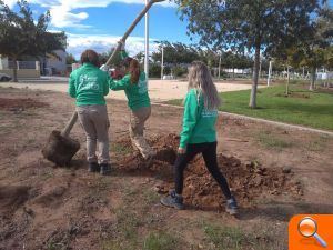 Recuperació i dinamització de les zones verdes de Moncofa - (foto 2)