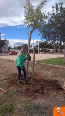 Recuperació i dinamització de les zones verdes de Moncofa - (foto 3)