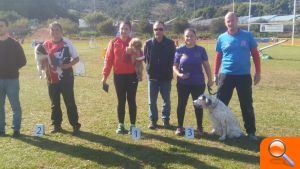 Esportiu Agility Almussafes destaca en les proves del cap de setmana passat