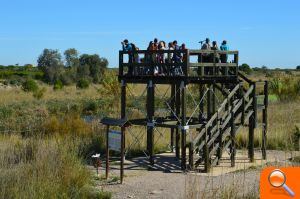 El Paisaje Protegido de la Desembocadura del Mijares recibe a los primeros turistas ornitológicos familiares del otoño - (foto 2)