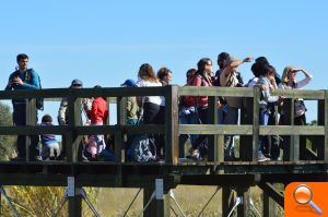 El Paisaje Protegido de la Desembocadura del Mijares recibe a los primeros turistas ornitológicos familiares del otoño - (foto 3)