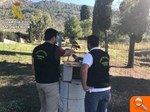 La Guardia Civil investiga a tres personas por 4 delitos de robo con fuerza de palomos de competición