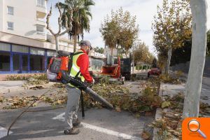 L'Alfàs inicia una campaña intensiva de poda de arbolado