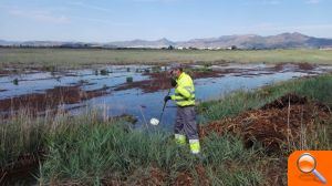 Nules solicitará a Salud Pública revisar el protocolo para la realización de tratamientos aéreos Nules solicitará a Salud Pública revisar el protocolo para la realización de tratamientos aéreos