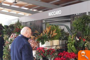 Alicante recupera la plaza del Mercado Central  - (foto 3)