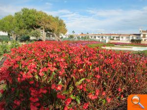 El taller d'ocupació 'Benicarló en Verd 2' finalitza amb la posada a punt dels 3.570 metres quadrats del Jardí de la Mar