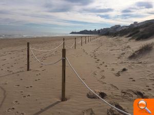 Cullera ja disposa de tanques per a protegir les dunes